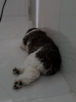 Trương Công Nhuần