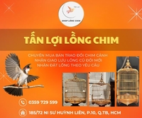 Tấn Lợi