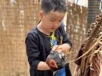Học