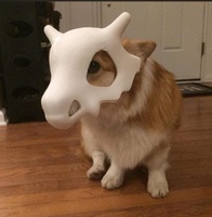 Le Tan Dat