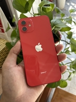 ĐTDĐ HỒNG ĐĂNG