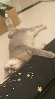 Hung
