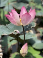 SHOP THANH LÝ ĐỒ