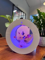 Như