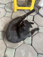 Min