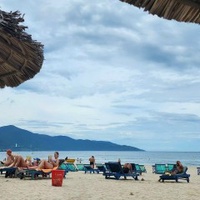 Gừng