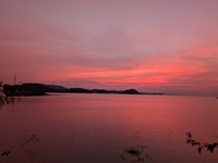 Dê Núi