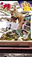 ĐỘC ĐẸP