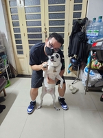 Lê Trùng Dương
