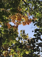 Nguyễn Tuấn Minh