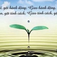 Hồ Văn Tín