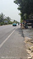 Huỳnh Vỹ