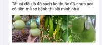 Ngọc 