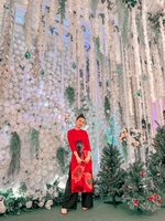 Trương Thảo