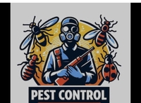 Dịch vụ xử lý côn trùng 