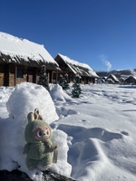 nguyễn thị hồng vân