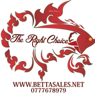 Betta Sales