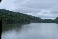 Hau Minh