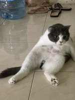 Zenni