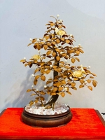 Trọng Hoàng