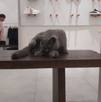 Phạm hồng thiện