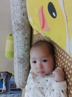 Bông Nguyễn Nhân