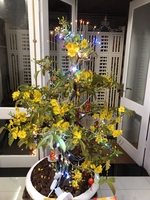 Lương Quang Đạo