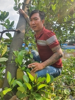 Nguyen duc dat