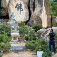 Phan thanh tú