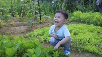 Võ Trường