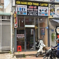 mên thảo