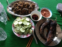 Tuan