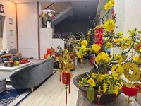 kỳ lân 