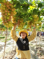 Chị Trang 