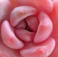 Nguyễn Thị Hà Sơn