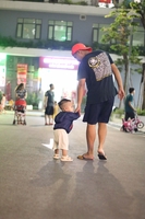hải trịnh