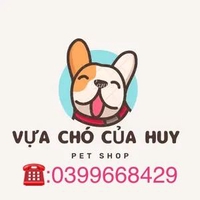 Đào Đức Huy 