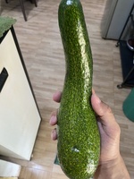 Hòa