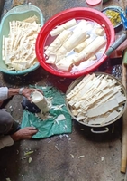 ngọc chương 