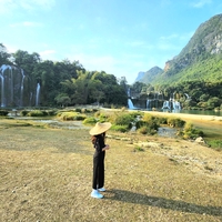 vũ diệp minh trang