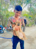 Trường