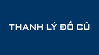 thế anh