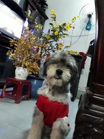 Hùng