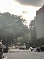 Nguyễn Trọng Hiếu