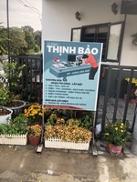 Thịnh Bảo 