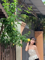 Lê thị tuyết minh