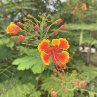 A ĐỨC