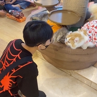 Châu Ngọc Tú Như