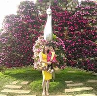 Kim liên