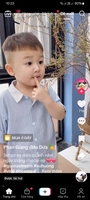 Phạm bích 